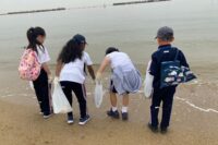 1714974219072 1714974219072