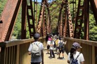 Y3 bridge