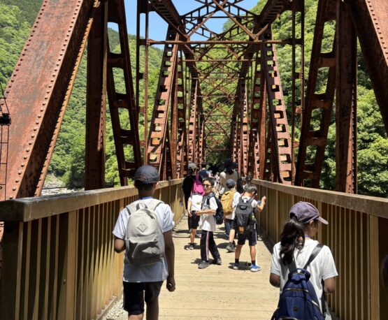 Y3 bridge